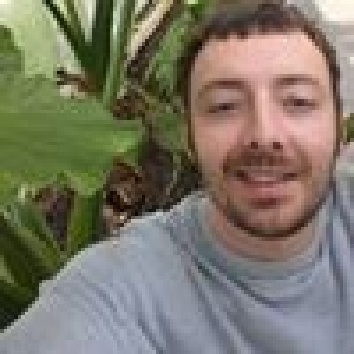 David  is looking for a Room / Apartment / Rental Property / Studio / HouseBoat in Amsterdam