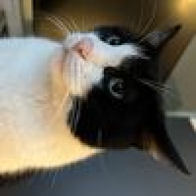 Betül is looking for an Apartment / Rental Property / Studio in Amsterdam