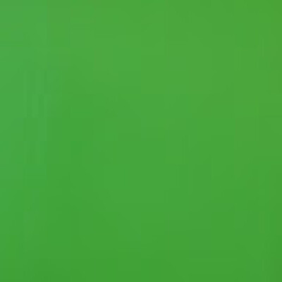 francesca is looking for an Apartment in Amsterdam