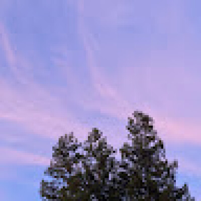 Saki is looking for a Room / Apartment / Rental Property / Studio in Amsterdam