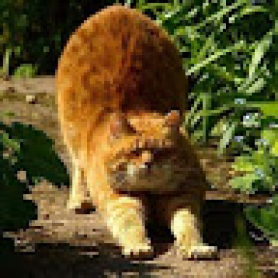 Levian  is looking for a Room / Apartment / Rental Property / Studio / HouseBoat in Amsterdam