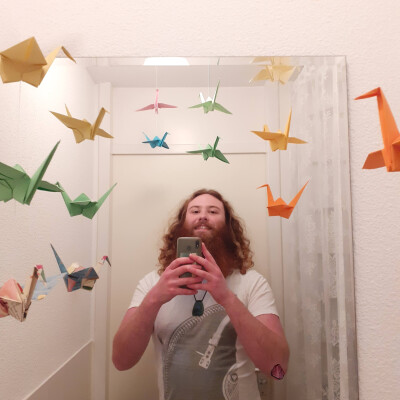 Mathis zoekt een Kamer / Appartement / Huurwoning / Studio / Woonboot in Amsterdam