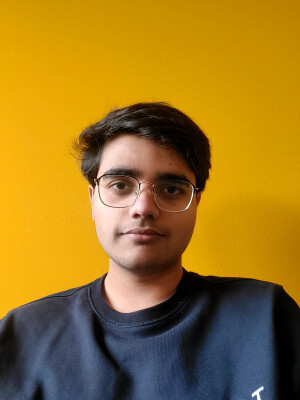 Krishna is looking for a Room / Apartment / Rental Property / Studio / HouseBoat in Amsterdam