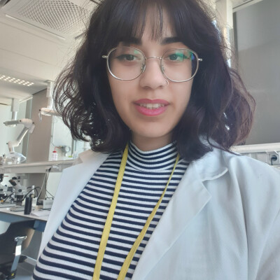 Sameh zoekt een Appartement / Studio in Amsterdam