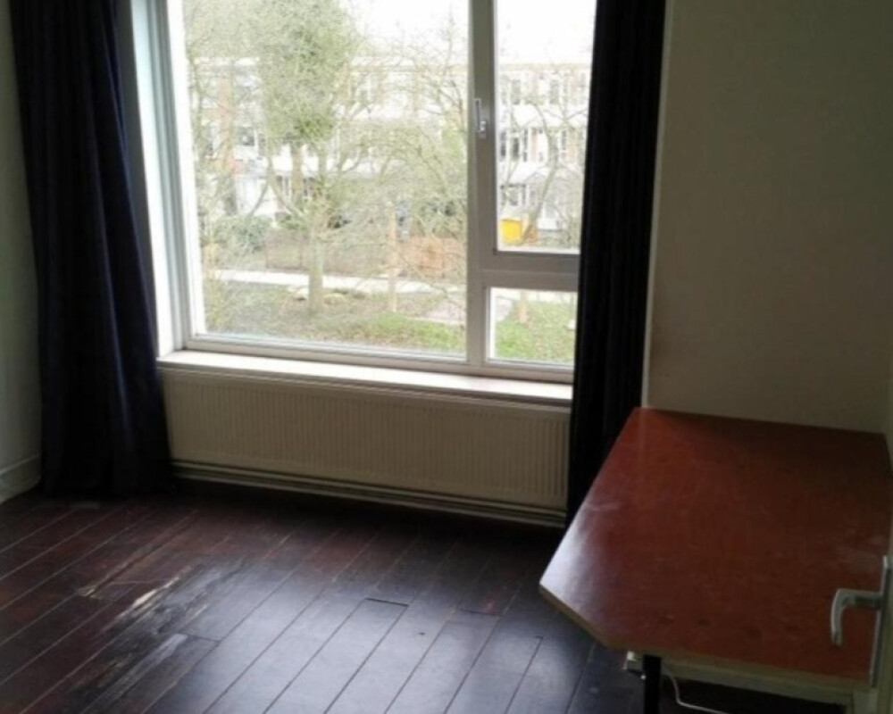 Kamer met uitzicht op groen plantsoentje