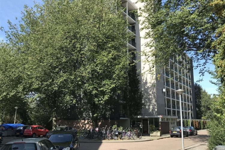 Amerbos, Amsterdam