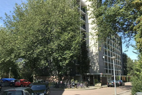Amerbos