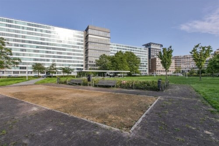 Bos en Lommerplantsoen, Amsterdam