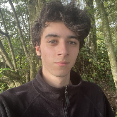 Wolf zoekt een Studio in Amsterdam