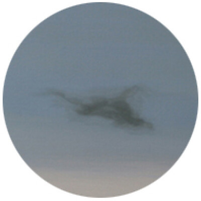 Cynthia is looking for a Studio in Amsterdam