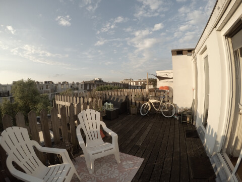 Eigen dakterras met huisgenootje.