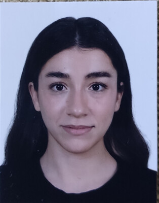 Ipek is looking for a Room / Apartment / Rental Property / Studio in Amsterdam