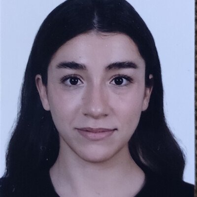 Ipek is looking for a Room / Apartment / Rental Property / Studio in Amsterdam